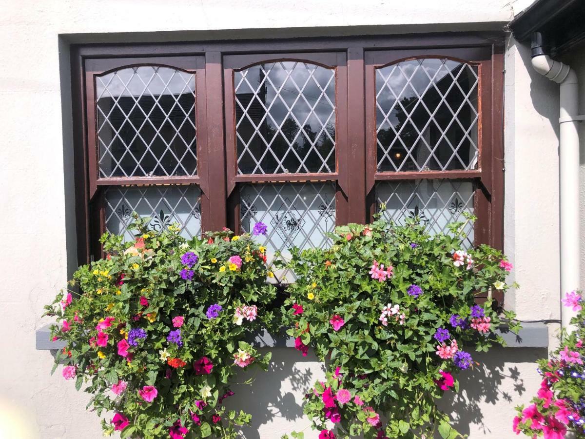 Chester Beatty Inn Ashford Екстер'єр фото
